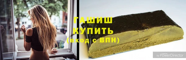 гидра Богородск