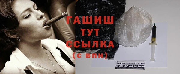 гидра Богородск