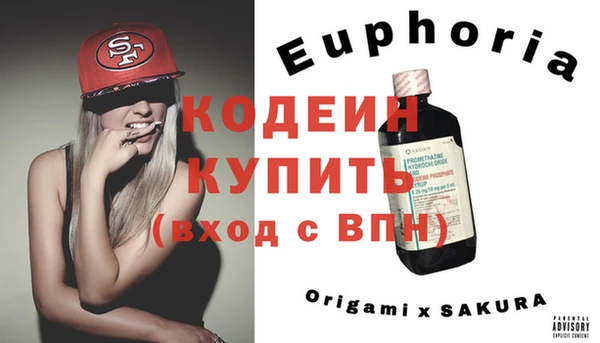 гидра Богородск