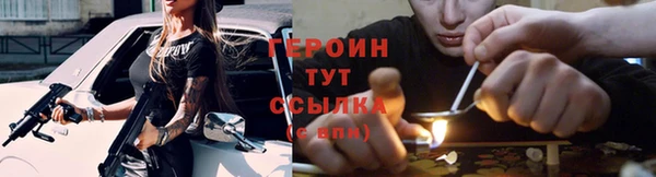 гидра Богородск