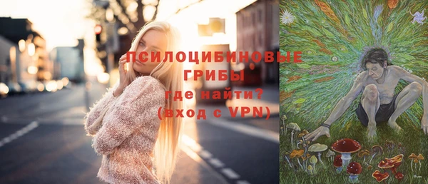 гидра Богородск