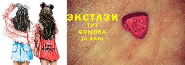гидра Богородск